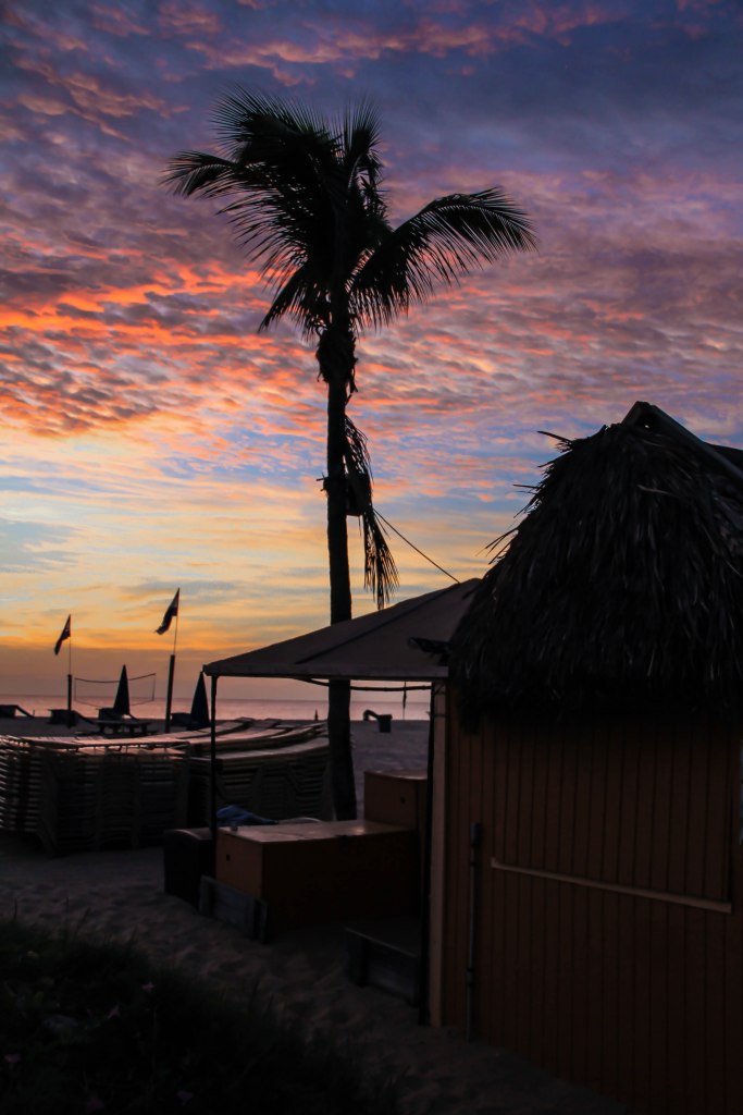  Cabana and Palm Tree